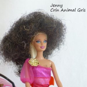 cheveux gris barbie jenny
